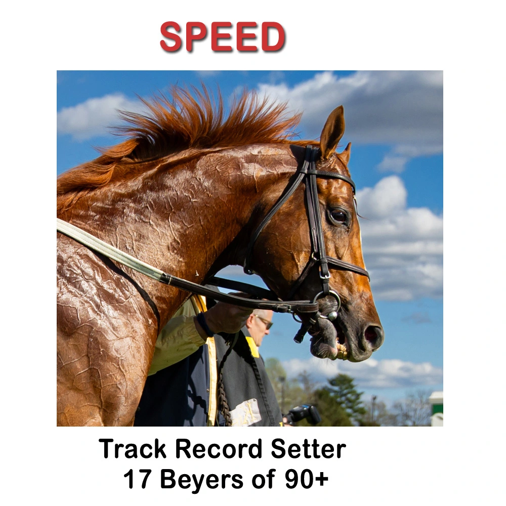 Speed